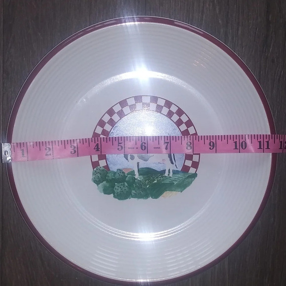 CENTURY STONEWARE Fannie's Farm Salad/Dessert Plate | 11" set of two - Picture 4 of 7